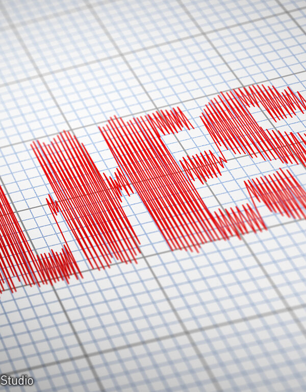 Lies Detector