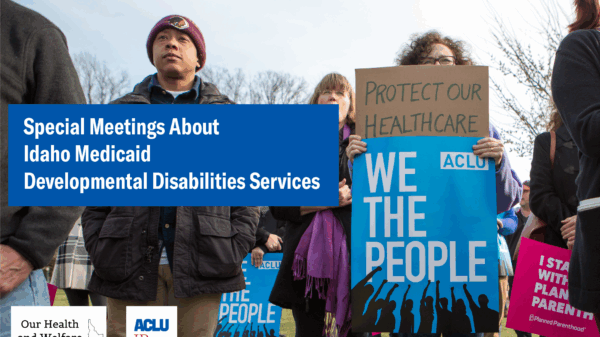 Idaho Medicaid developmental disabilities services