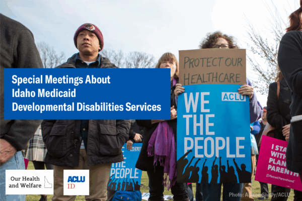 Idaho Medicaid developmental disabilities services