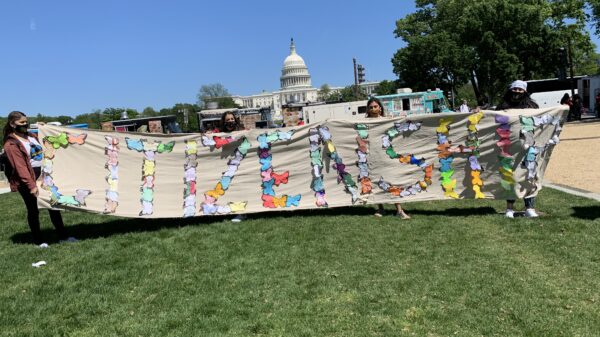 2021 Butterfly Migration Project