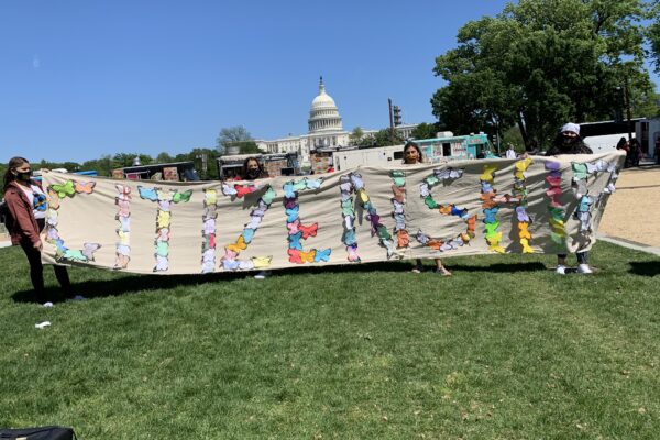 2021 Butterfly Migration Project