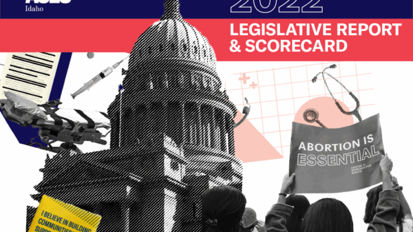 Just left of center there is a black and white image of the Idaho statehouse. In the top left there is an image of a mediacal bed and syringe just above the bed and a piece of paper. A person holds a sign reading "abortion is essential" in bottom right.
