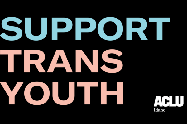 A black recrtangle holds the words "Support Trans Youth" in all caps. The word "Support" is in light blue lettering and "trans Youth" is in light pink lettering. The ACLU logo is in the bottom right corner.