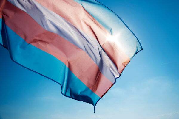 Close-up of a transgender pride flag with the sun shining in the background