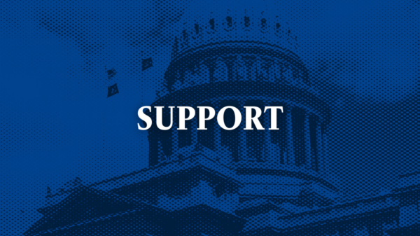 Blue image of the Idaho capitol with text "support"