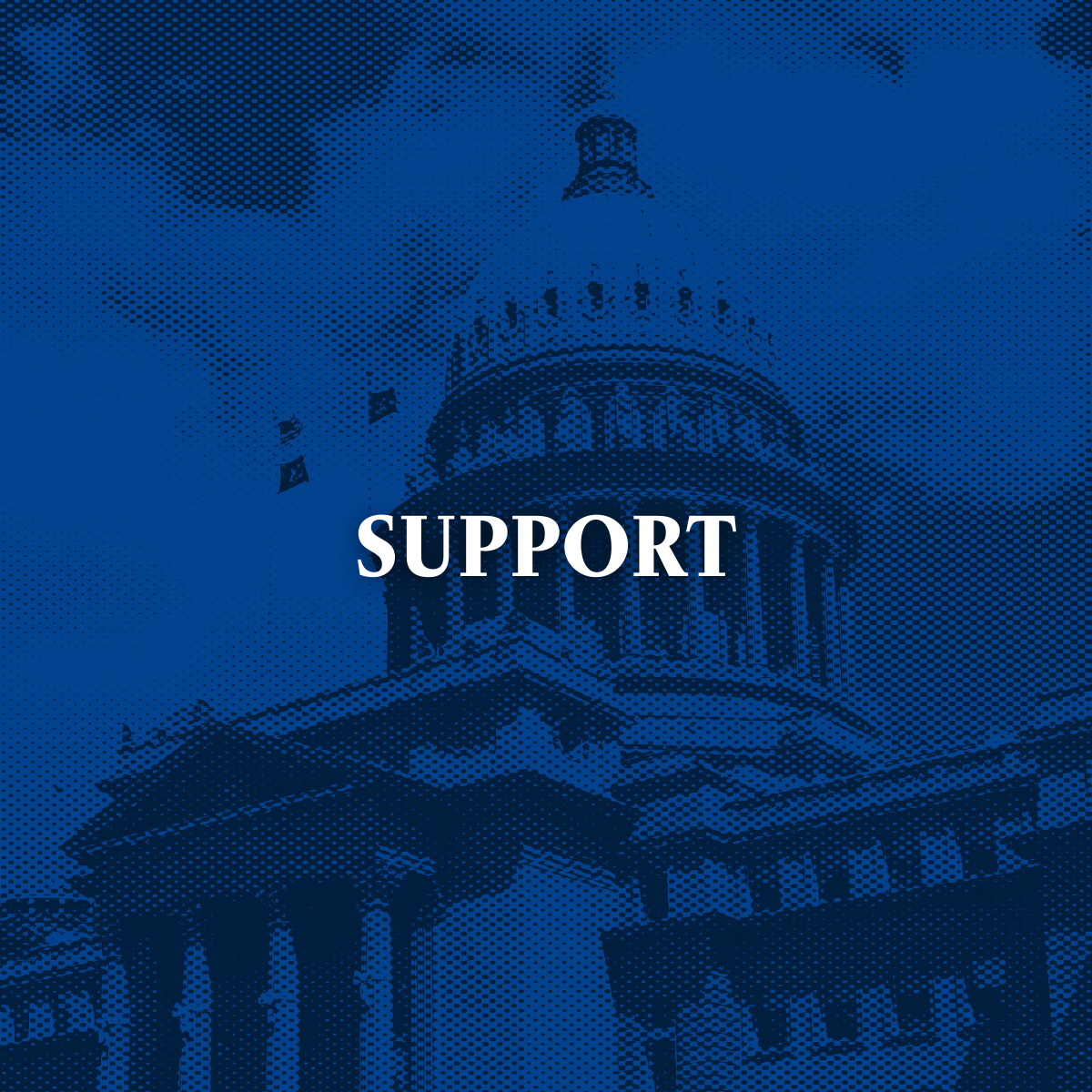 Blue image of the Idaho capitol with text "support"