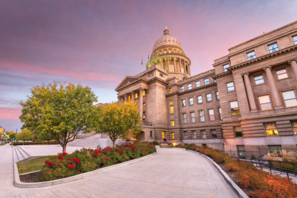 View of the Idaho Capitol on the right side looking up with blooming flowers and a pink sky