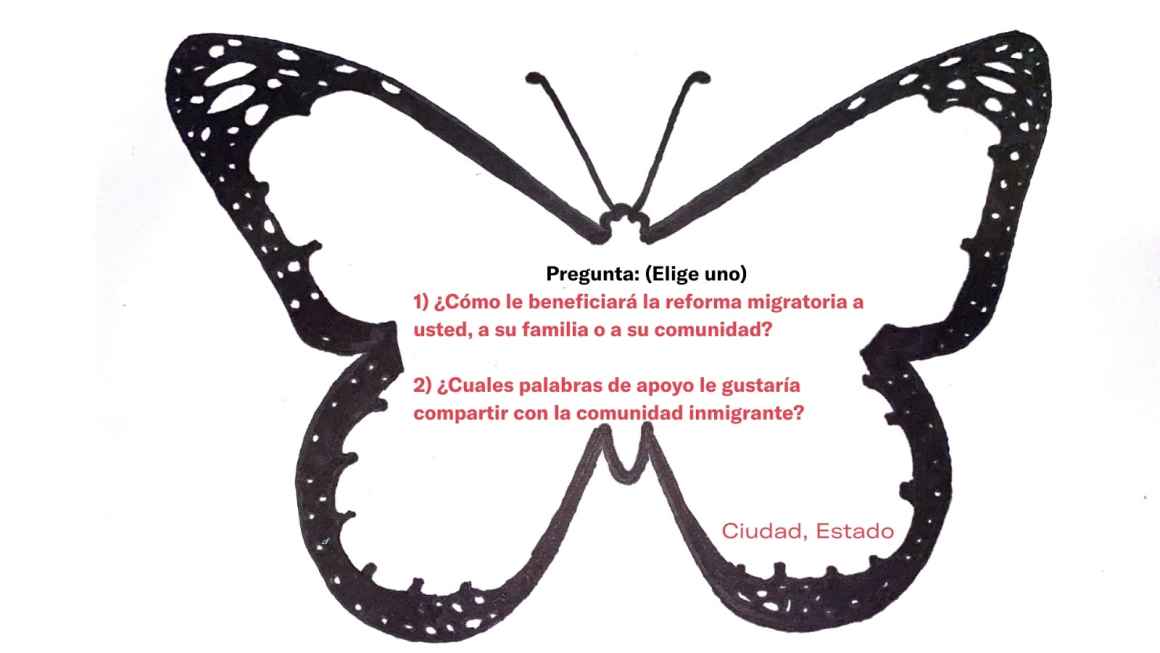 Butterfly Migration Project