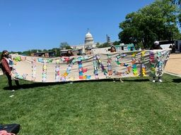 Butterfly Migration Project