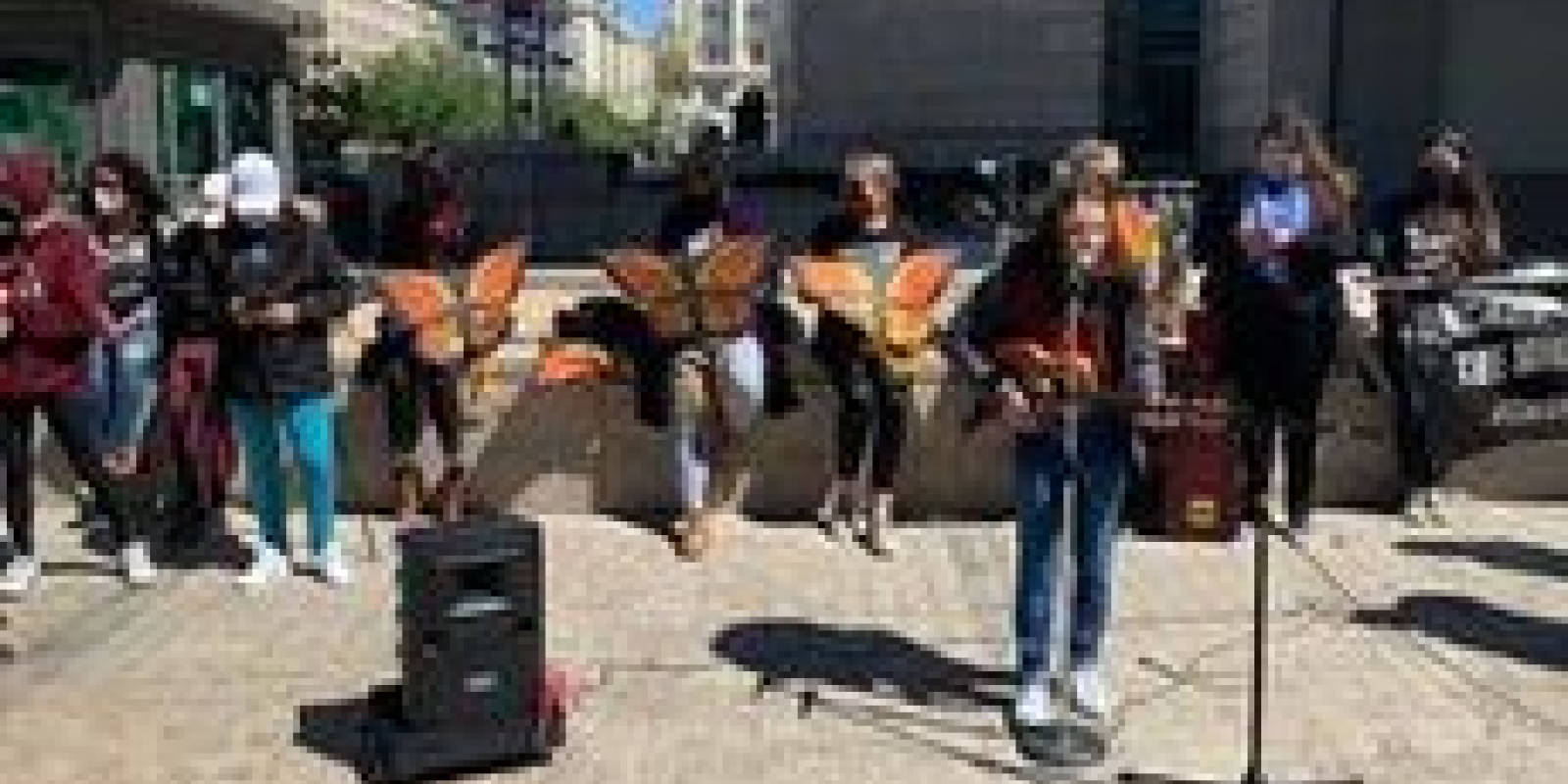 Butterfly Migration Project