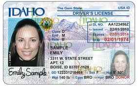 mock Idaho Drivers License