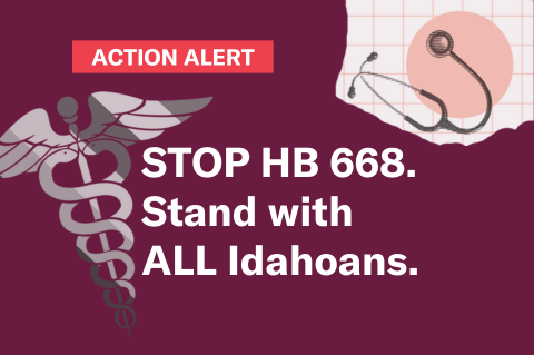 A darg maroon rectangle with "Top HB 668. Stand with all Idahoans" min the center. To the left is th serpent and wings medical symbol. In the top right corner is am image of a stethoscope. A the top is a red rectangle with "Action Alert" in white letters 