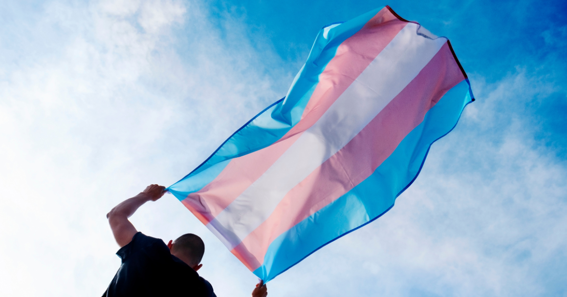 A person waves a transgender rights flag with a blue sky in the background