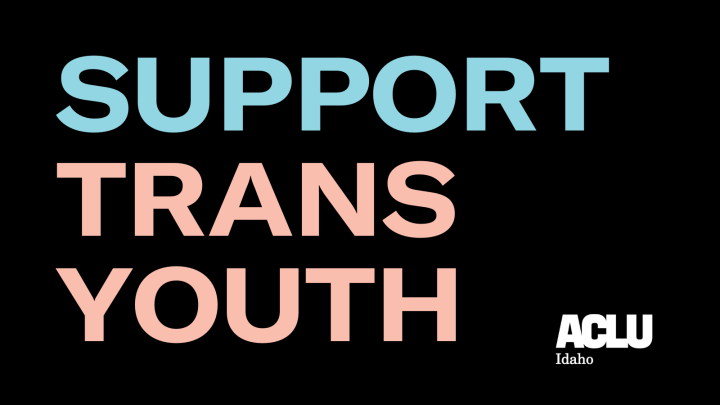 A black recrtangle holds the words "Support Trans Youth" in all caps. The word "Support" is in light blue lettering and "trans Youth" is in light pink lettering. The ACLU logo is in the bottom right corner.