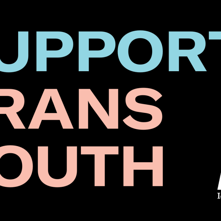 A black recrtangle holds the words "Support Trans Youth" in all caps. The word "Support" is in light blue lettering and "trans Youth" is in light pink lettering. The ACLU logo is in the bottom right corner.