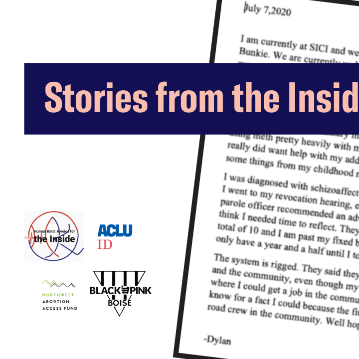 Stories from the Inside Dylan 